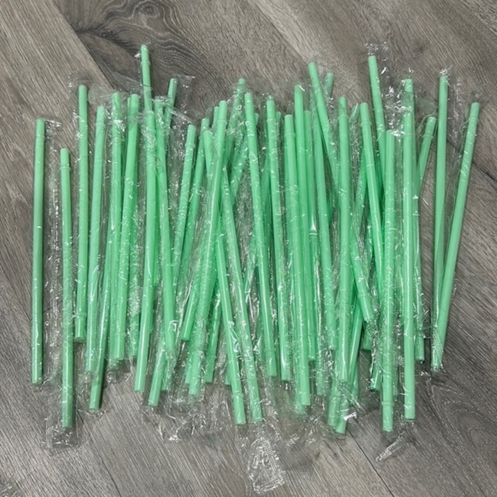 40 Count Bulk Mint Green Reusable Straws Individually Wrapped Tumbler